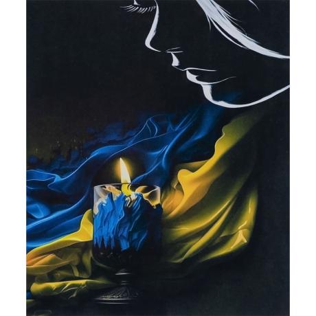 ТОТАЛ! Алмазная Живопись 40х50 IMAGE79 в картонной коробке