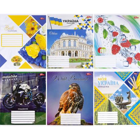 Тетрадь цветная 24 листа, клетка "Мрії" "mix" 80 картинок в ящике