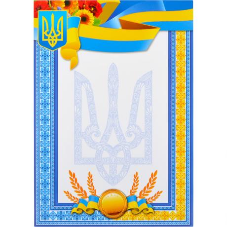 Бланк наградной А4 универсальный №11